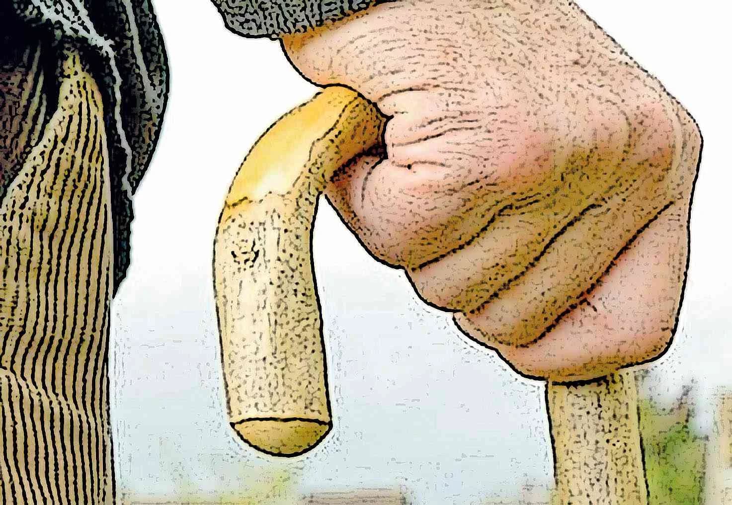 Imortal: PEC pode aumentar para 80 anos teto dos magistrados nos tribunais