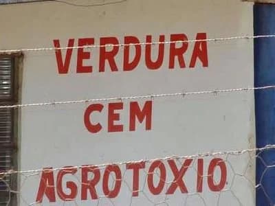 Efeito Zarinha: Constituição da Paraíba passa por correção geral